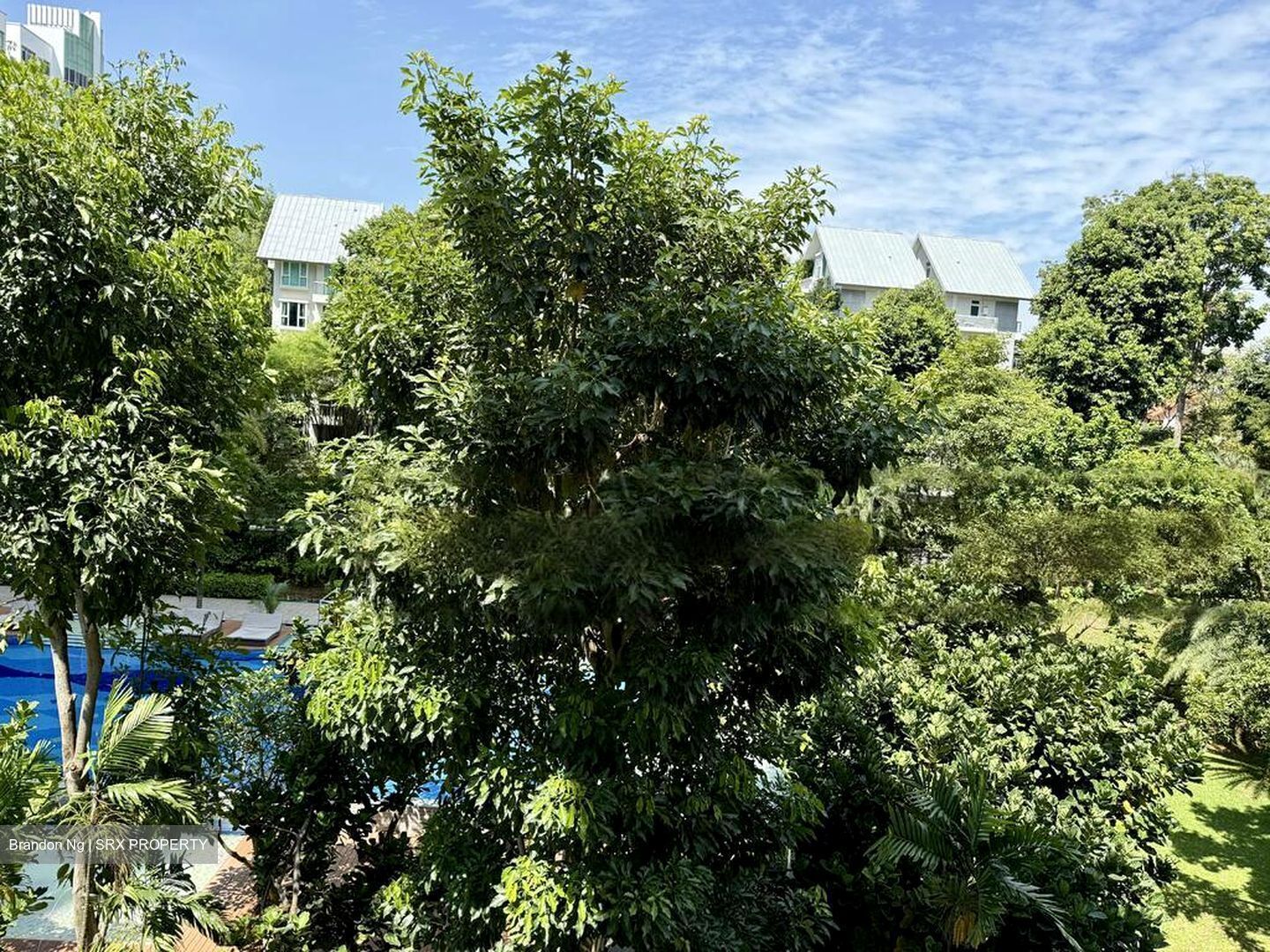 Regency Lodge (D10), Apartment #458444581